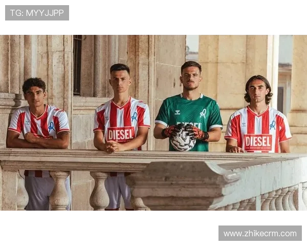 维罗纳足球俱乐部的辉煌历程与未来发展潜力分析